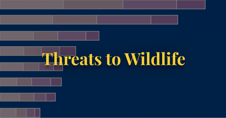 Biggest threats to wildlife today