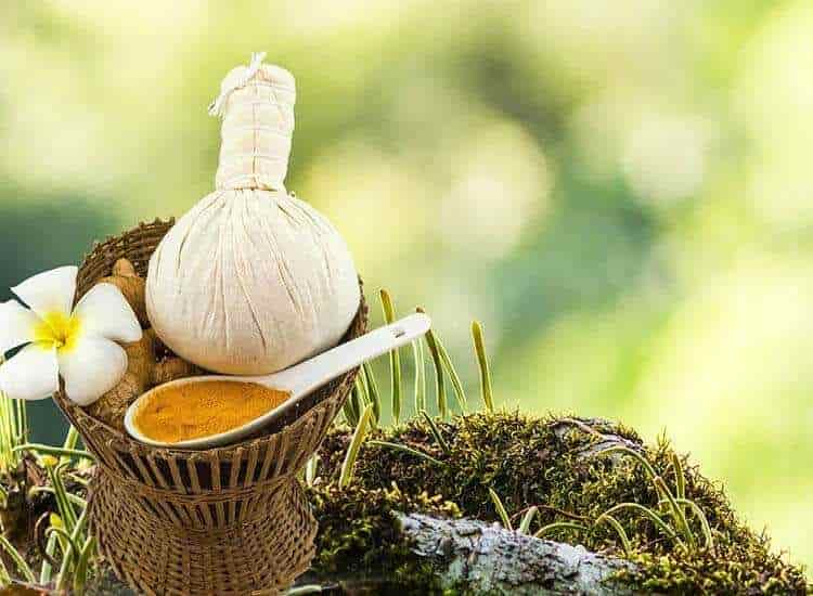 best ayurvedic doctor in india