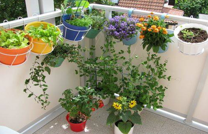 Kitchen Gardening Ideas